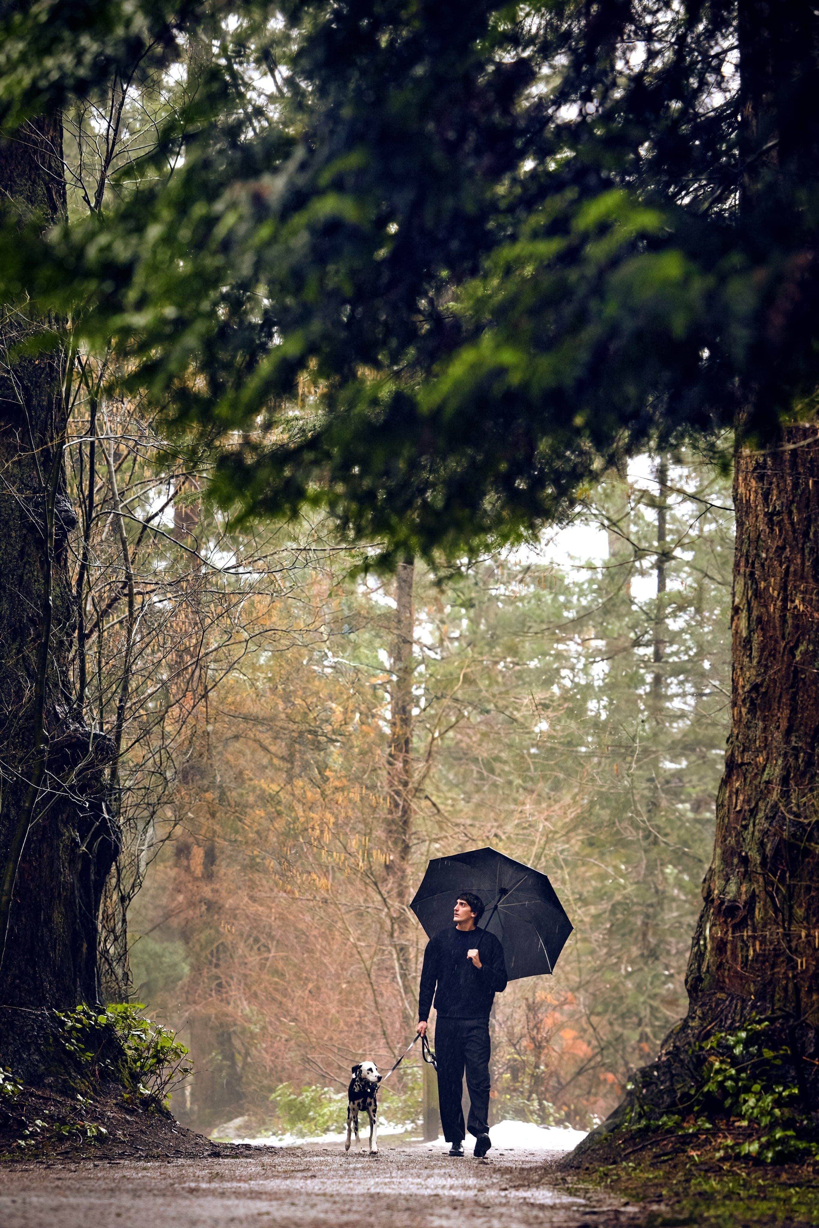 Man and dog walking in park